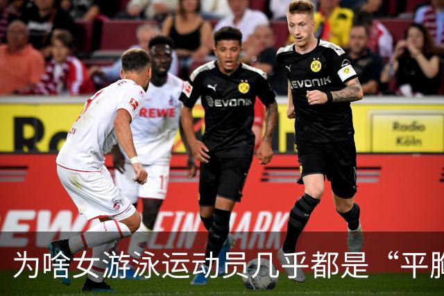 为啥女游泳运动员几乎都是“平胸”？傅园慧：想不平都难