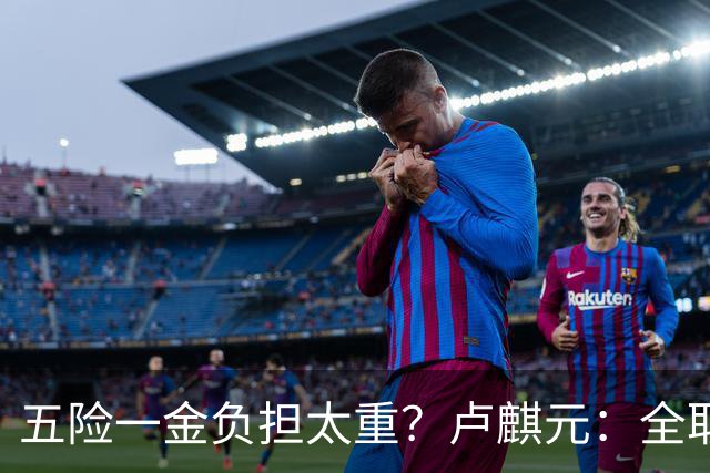 五险一金负担太重？卢麒元：全取消，征房产直接税，经济才会正常