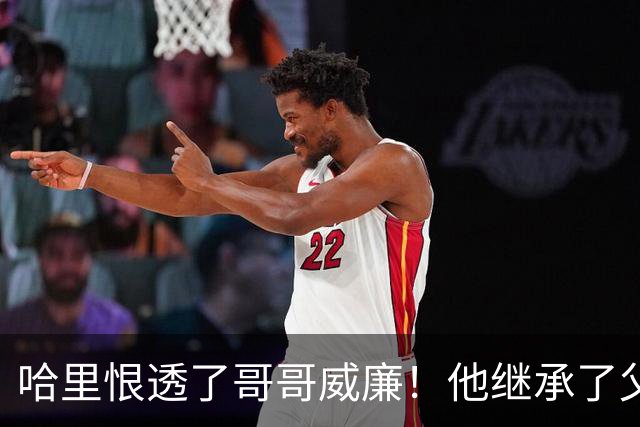 哈里恨透了哥哥威廉!他继承了父亲的王位不说,还继承了母亲的脸